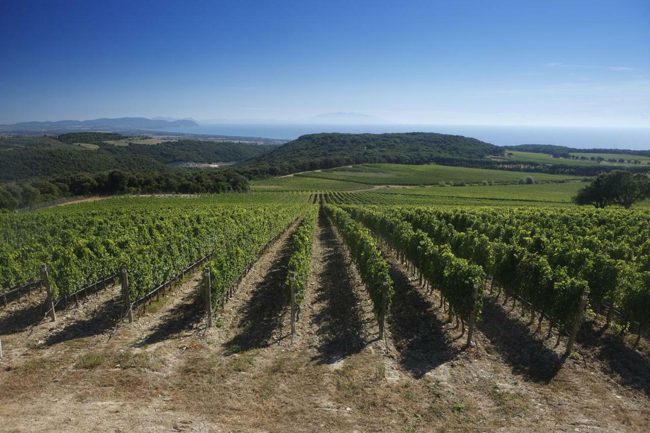 Вилла Il Castelluccio - By Bolgheri Holiday Монтеверди-Мариттимо Экстерьер фото